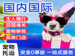 秦皇岛机场快运国际宠物托运 【国